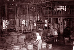 諸味(もろみ)を圧搾機にかけて、しょうゆを搾り出す工場内の作業光景。当時年間7,000石(126万リットル)の醤油を生産していました｡（昭和34年頃）